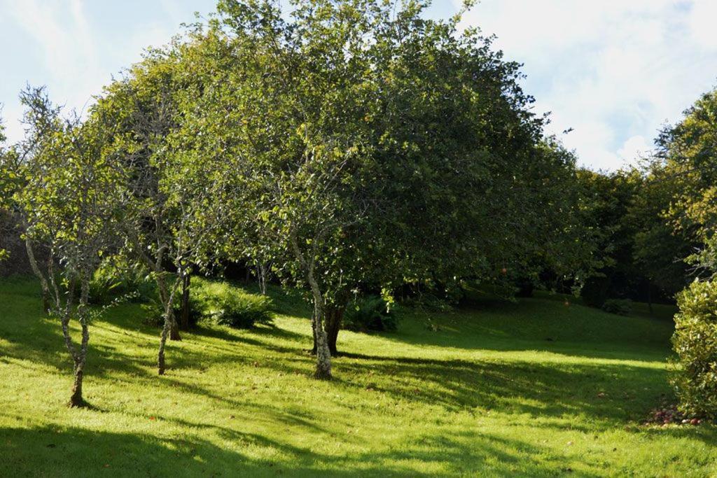 Thornwell Cottage - Heart Of The Village, Amazing Gardens, Glorious Views And Brimming With Character Dittisham Zewnętrze zdjęcie