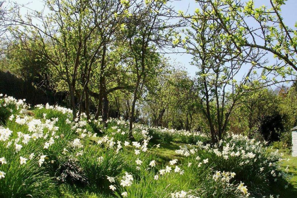 Thornwell Cottage - Heart Of The Village, Amazing Gardens, Glorious Views And Brimming With Character Dittisham Zewnętrze zdjęcie