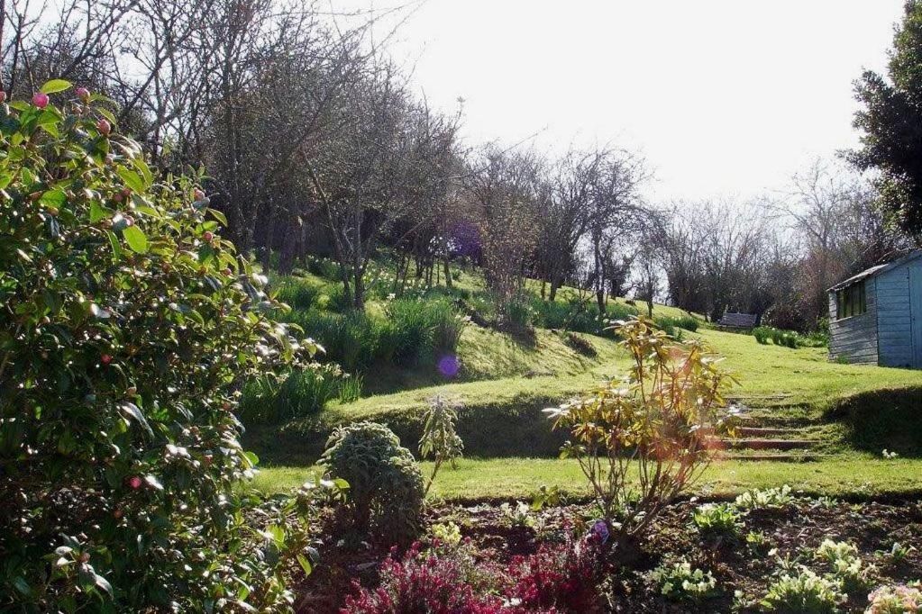 Thornwell Cottage - Heart Of The Village, Amazing Gardens, Glorious Views And Brimming With Character Dittisham Zewnętrze zdjęcie
