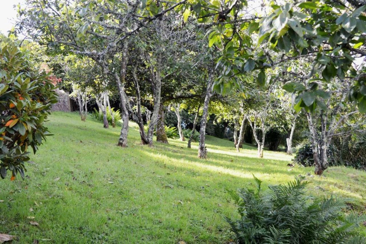 Thornwell Cottage - Heart Of The Village, Amazing Gardens, Glorious Views And Brimming With Character Dittisham Zewnętrze zdjęcie